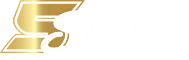 5Stakes resmi logo