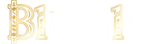 B1 Bahis resmi logo