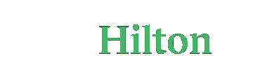 Hiltonbet güncel giriş logosu